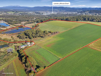Rural / Farming commercial property sold at 301 Moriarty Road Moriarty TAS 7307