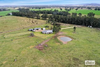 Rural / Farming commercial property sold at 21 Grays Road Briagolong VIC 3860 Rural / Farming commercial property sold at 21 Grays Road Briagolong VIC 3860