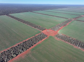 Rural / Farming commercial property sold at 'Harolds', 2005 Palesthan Road Euabalong NSW 2877 Rural / Farming commercial property sold at 'Harolds', 2005 Palesthan Road Euabalong NSW 2877