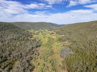 Rural / Farming commercial property sold at 'Part Wattle Valley' Kangarooby Road Gooloogong NSW 2805 Rural / Farming commercial property sold at 'Part Wattle Valley' Kangarooby Road Gooloogong NSW 2805