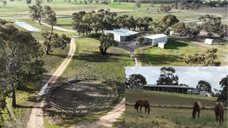 Rural / Farming commercial property for sale at 2773 Naracoorte Road Bordertown SA 5268