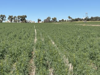Rural / Farming commercial property sold at 974 Brooks Road Ajana WA 6532