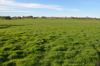 Rural / Farming commercial property sold at 615 Henry Creek Road Kingston Se SA 5275 Rural / Farming commercial property sold at 615 Henry Creek Road Kingston Se SA 5275
