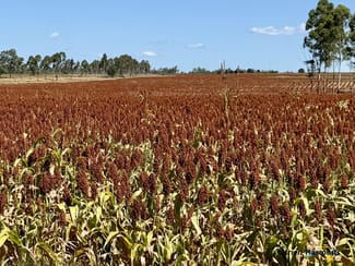 Rural / Farming commercial property for sale at Lot 2 Reedy Creek Road Benair QLD 4610 Rural / Farming commercial property for sale at Lot 2 Reedy Creek Road Benair QLD 4610