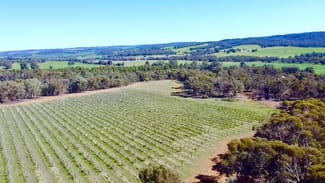 Rural / Farming commercial property for sale at 586 Wandering-Pingelly Road Wandering WA 6308 Rural / Farming commercial property for sale at 586 Wandering-Pingelly Road Wandering WA 6308