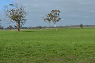 Rural / Farming commercial property sold at 261 Joys Road Binnum SA 5262 Rural / Farming commercial property sold at 261 Joys Road Binnum SA 5262