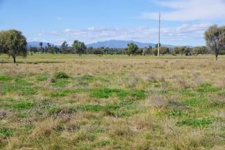 Rural / Farming commercial property sold at 57 Kaputar Road Narrabri NSW 2390 Rural / Farming commercial property sold at 57 Kaputar Road Narrabri NSW 2390