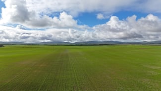 Rural / Farming commercial property sold at 401 Mundoora-Wokurna Rd Mundoora SA 5555 Rural / Farming commercial property sold at 401 Mundoora-Wokurna Rd Mundoora SA 5555