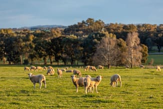 Rural / Farming commercial property sold at 8232 Tumbarumba Road Wagga Wagga NSW 2650 Rural / Farming commercial property sold at 8232 Tumbarumba Road Wagga Wagga NSW 2650