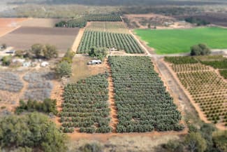 Rural / Farming commercial property for sale at 334 Katarapko Crescent Winkie SA 5343 Rural / Farming commercial property for sale at 334 Katarapko Crescent Winkie SA 5343