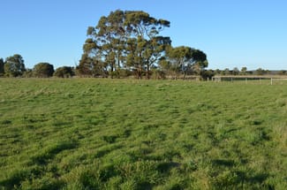 Rural / Farming commercial property sold at sec 440 Nunga-Mia Road Robe SA 5276 Rural / Farming commercial property sold at sec 440 Nunga-Mia Road Robe SA 5276