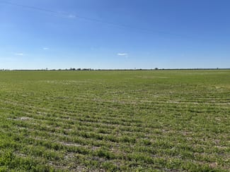 Rural / Farming commercial property for sale at Single Tree Road Donald VIC 3480