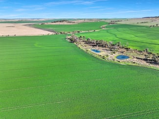 Rural / Farming commercial property for sale at Croppa Creek NSW 2411