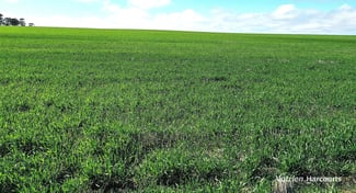 Rural / Farming commercial property sold at 1905 Dalwallinu West Road Miling WA 6575 Rural / Farming commercial property sold at 1905 Dalwallinu West Road Miling WA 6575