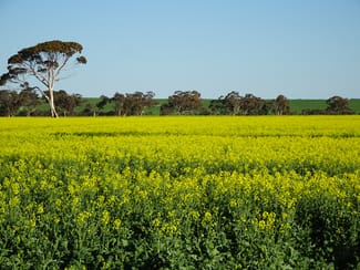 Rural / Farming commercial property sold at 1103 Bullaring - Gorge Rock Road Bullaring WA 6373