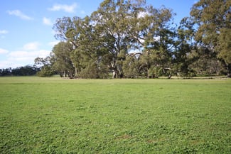 Rural / Farming commercial property for sale at 202 Malones Road Naracoorte SA 5271