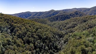 Rural / Farming commercial property sold at 3542 Nowendoc Road Caffreys Flat NSW 2424 Rural / Farming commercial property sold at 3542 Nowendoc Road Caffreys Flat NSW 2424