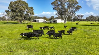Rural / Farming commercial property sold at 447 Charcutt Road Maaoupe SA 5277 Rural / Farming commercial property sold at 447 Charcutt Road Maaoupe SA 5277