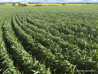 Rural / Farming commercial property sold at . 'Sperwill Springs' part LOT 57 Kwolyin WA 6385 Rural / Farming commercial property sold at . 'Sperwill Springs' part LOT 57 Kwolyin WA 6385