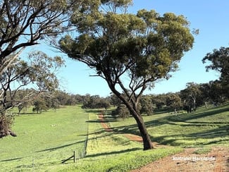 Rural / Farming commercial property sold at 967 Northam-Toodyay Road Katrine WA 6401 Rural / Farming commercial property sold at 967 Northam-Toodyay Road Katrine WA 6401