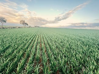 Rural / Farming commercial property sold at 'Jansen's' Sec 414 Wirreanda Rd Condowie SA 5464