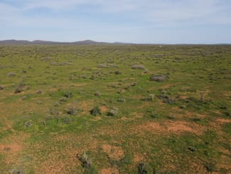 Rural / Farming commercial property for sale at 'Acacia Ridge' 511 Tapscott Rd Orroroo SA 5431 Rural / Farming commercial property for sale at 'Acacia Ridge' 511 Tapscott Rd Orroroo SA 5431
