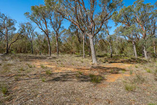 Rural / Farming commercial property sold at 55 Gumnut Crescent Bungonia NSW 2580 Rural / Farming commercial property sold at 55 Gumnut Crescent Bungonia NSW 2580