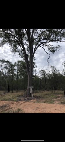 Rural / Farming commercial property sold at Lot 190 Golden Glow Road Tara QLD 4421 Rural / Farming commercial property sold at Lot 190 Golden Glow Road Tara QLD 4421