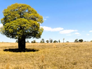 Rural / Farming commercial property sold at 'Bendoba' 1933 Kooragan Road Injune QLD 4454