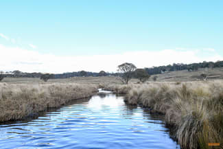 Rural / Farming commercial property sold at "Moles Station" 248 Hains Road Kybeyan NSW 2631 Rural / Farming commercial property sold at "Moles Station" 248 Hains Road Kybeyan NSW 2631