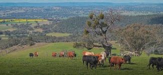 Rural / Farming commercial property sold at 350 Ingles Road NEUREA Via Wellington NSW 2820 Rural / Farming commercial property sold at 350 Ingles Road NEUREA Via Wellington NSW 2820