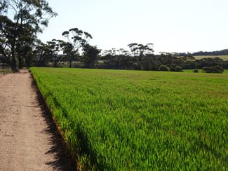 Rural / Farming commercial property sold at 140 Yenellin Road Pingelly WA 6308 Rural / Farming commercial property sold at 140 Yenellin Road Pingelly WA 6308