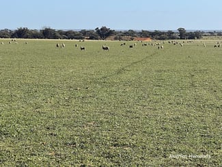 Rural / Farming commercial property sold at 2159 Mouroubra Road Beacon WA 6472
