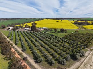 Rural / Farming commercial property sold at 1182 Doodenanning - Mawson Road Balkuling WA 6383 Rural / Farming commercial property sold at 1182 Doodenanning - Mawson Road Balkuling WA 6383