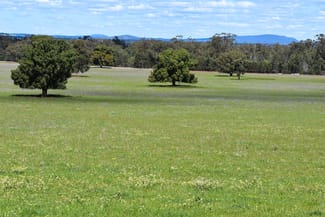 Rural / Farming commercial property for sale at 120 Melrose Plains Road Fifield NSW 2875 Rural / Farming commercial property for sale at 120 Melrose Plains Road Fifield NSW 2875