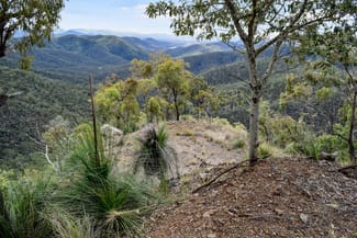 Rural / Farming commercial property sold at Mount Coora Road Black Snake QLD 4600 Rural / Farming commercial property sold at Mount Coora Road Black Snake QLD 4600