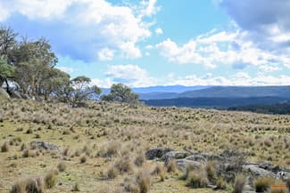 Rural / Farming commercial property sold at "Hobbs Range" 40 Hobbs Lane Moonbah NSW 2627