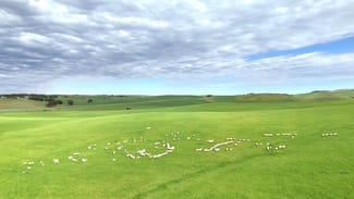 Rural / Farming commercial property for sale at 'Broughton Valley' 1 Euromina Road Broughton River Valley SA 5454 Rural / Farming commercial property for sale at 'Broughton Valley' 1 Euromina Road Broughton River Valley SA 5454