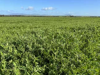 Rural / Farming commercial property sold at Lot 147 Charlton Gully Road Wanilla SA 5607 Rural / Farming commercial property sold at Lot 147 Charlton Gully Road Wanilla SA 5607