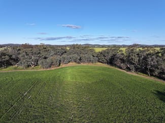 Rural / Farming commercial property for sale at Part Westbury Goldfields Way Barmedman NSW 2668 Rural / Farming commercial property for sale at Part Westbury Goldfields Way Barmedman NSW 2668