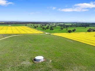 Rural / Farming commercial property sold at 559 Old Stone Tank Road Mundulla SA 5270 Rural / Farming commercial property sold at 559 Old Stone Tank Road Mundulla SA 5270