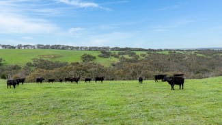 Rural / Farming commercial property sold at Norgrove Mount Magnificent Road Mount Magnificent SA 5210 Rural / Farming commercial property sold at Norgrove Mount Magnificent Road Mount Magnificent SA 5210