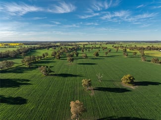 Rural / Farming commercial property sold at 369 McKenzies Road Galore NSW 2650 Rural / Farming commercial property sold at 369 McKenzies Road Galore NSW 2650