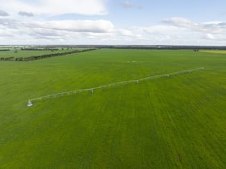 Rural / Farming commercial property for sale at 1427 Naracoorte Road Bordertown SA 5268 Rural / Farming commercial property for sale at 1427 Naracoorte Road Bordertown SA 5268