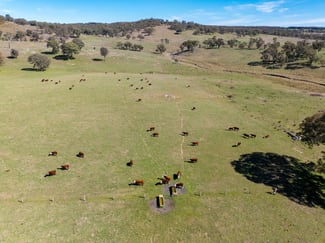 Rural / Farming commercial property sold at 5353 Trunkey Road Trunkey Creek NSW 2795 Rural / Farming commercial property sold at 5353 Trunkey Road Trunkey Creek NSW 2795
