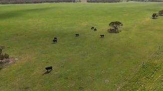 Rural / Farming commercial property sold at 2182 Parrakie South Road Parrakie SA 5301 Rural / Farming commercial property sold at 2182 Parrakie South Road Parrakie SA 5301