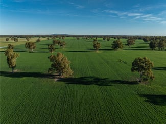 Rural / Farming commercial property sold at 369 McKenzies Road Galore NSW 2650