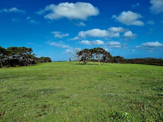 Rural / Farming commercial property for sale at 1/958 Crabbs Road Newland SA 5223 Rural / Farming commercial property for sale at 1/958 Crabbs Road Newland SA 5223