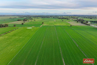 Rural / Farming commercial property for sale at 821 Echuca West School Road Echuca VIC 3564 Rural / Farming commercial property for sale at 821 Echuca West School Road Echuca VIC 3564
