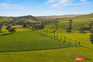 Rural / Farming commercial property for sale at Boorowa NSW 2586